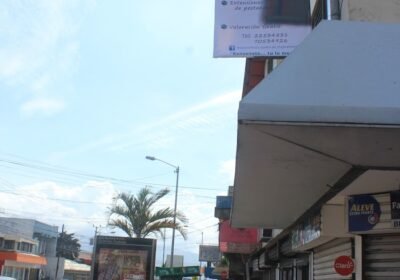 Metamorfosis Spa