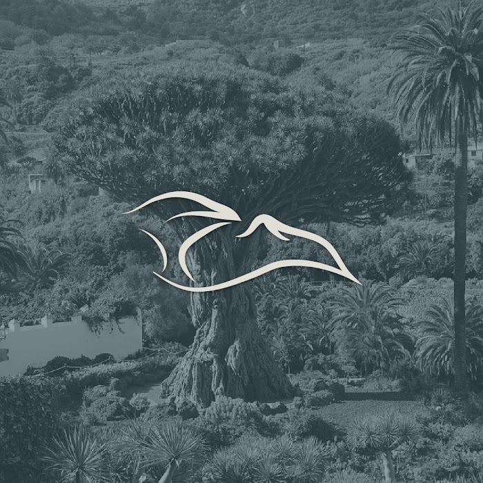 1740476749 925 photo C.B.Centro de Fisioterapia Icod