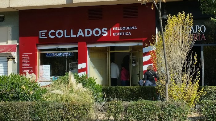 1740477298 53 photo Collados Peluqueria y Estética