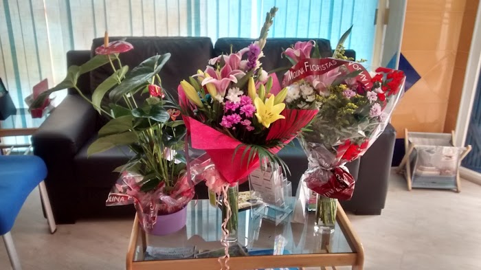 1740558692 7 photo Albafisio