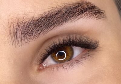 3D Brow & Lash Studio