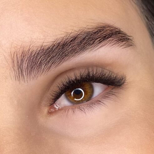 3D Brow & Lash Estudio
