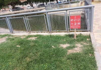 AM estética Murcia