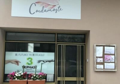 Coidámoste