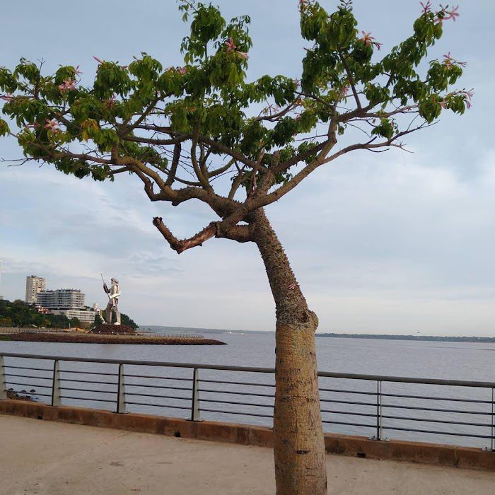 Masajistas en Posadas (Misiones Argentina)