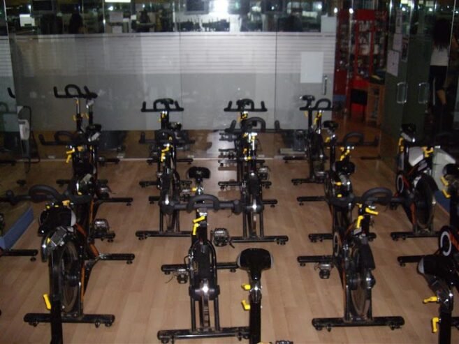 Laudio Wellness S L