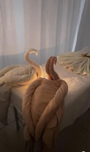 Lottos spa