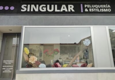 Peluquería Singular Cantalejo | Balayages y Alisados