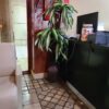 Zafiro Spa by Yolanda