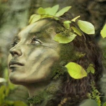 Stress-free Celtic Track For Relaxation & Meditation: “Dance Of Life” by Peder B. Helland ★91
