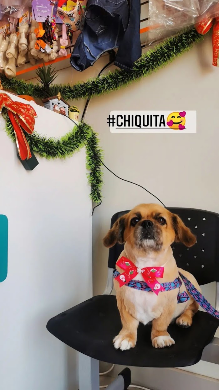 1740920749 359 Humipets Veterinaria y Spa Humipets Veterinaria y Spa