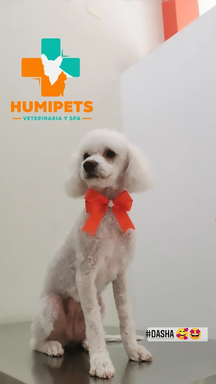 1740920750 160 Humipets Veterinaria y Spa Humipets Veterinaria y Spa