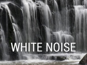 A Secret Backyard and Woodland Circulate with Bird Sounds Natural White Noise Music for Leisure Meditation, Deep Sleep, Discovering out, Therapeutic Rub down, Spa, Sound Therapy, Chakra Balancing, Youngster Sleep and Yoga (White Noise For Bedtime Sleep and Youngster Sleep)