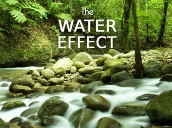 The Water Attain – Water Sounds and Sound Outcomes for Sound Therapy, Rubdown, Most predominant Meditation Therapeutic Méditation – Mother Earth Soothing Music