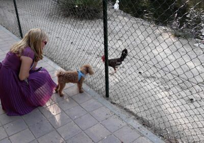 Mar García Estética Avanzada