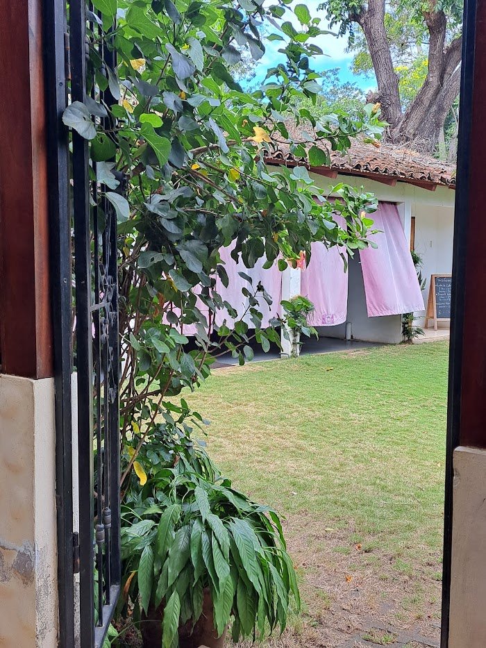 1744446130 398 Ayurveda Salud y Bienestar Ayurveda Salud y Bienestar