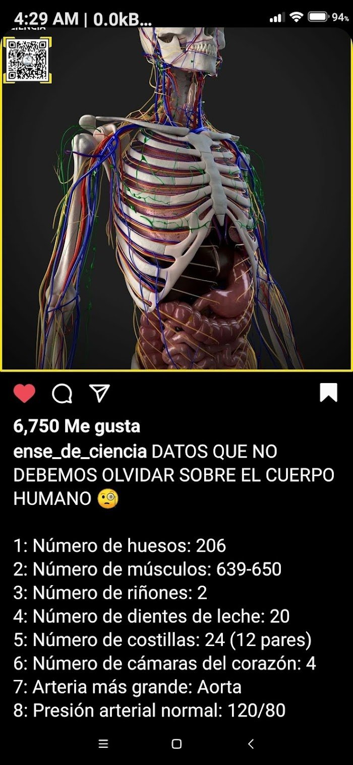 1745137862 793 MASAJES QUIROPRACTICOS MASAJES QUIROPRACTICOS