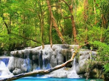 Stress-free Zen Song With Water Sounds • Relax, Sleep, Spa, Yoga, Meditation – Soothing Leisure