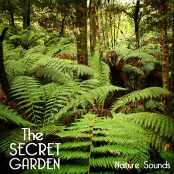 The Secret Garden Nature Sounds – Relaxing Sounds of Nature for Deep Sleep, Dinky one Sleep, Yoga Pregnancy, Yoga Music Leisure