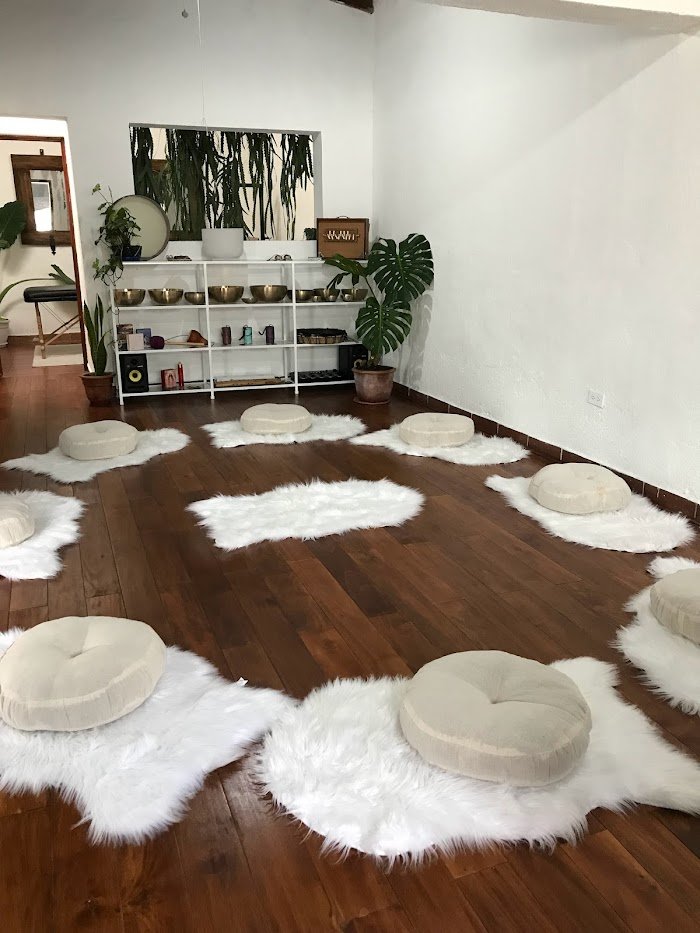 1746174077 557 Holistic Bloom Health Wellness Center Holistic Bloom - Health & Wellness Center