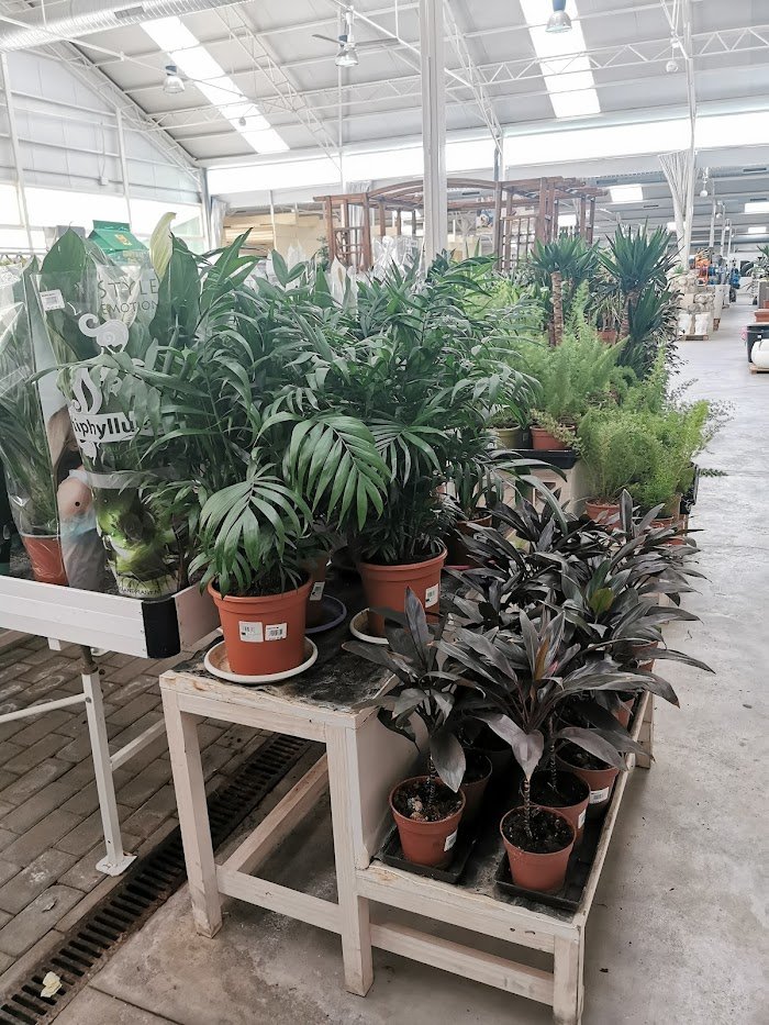1746174975 835 El Tajo Garden Center El Tajo Garden Center