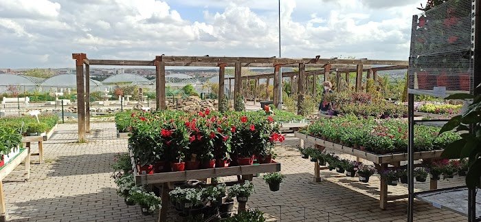 1746174976 205 El Tajo Garden Center El Tajo Garden Center