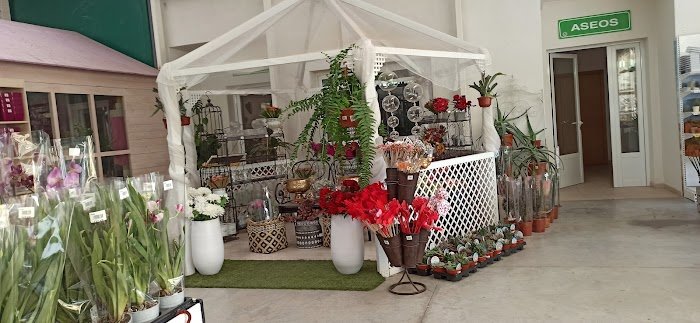 1746174976 947 El Tajo Garden Center El Tajo Garden Center