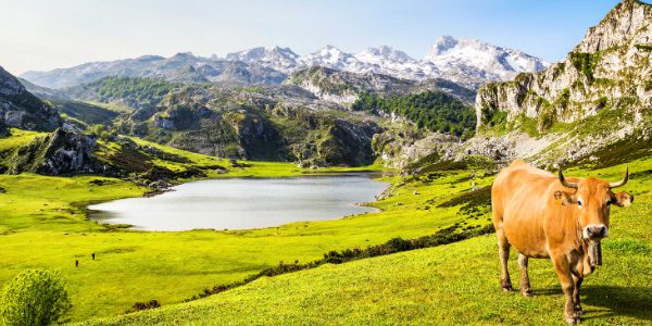 asturias CIUDADES MASAJES
