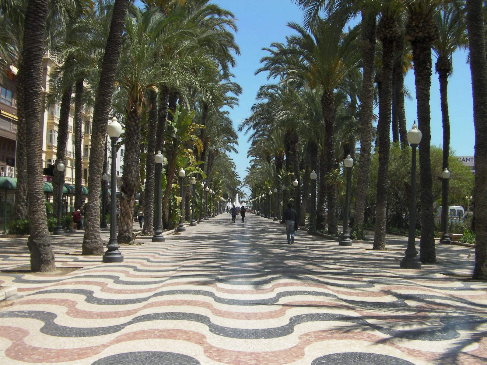 Explanada de España Alicante - paseo de las palmeras y bienestar