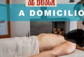 Busco chica masajista a domicilio para masaje cuerpo completo zona sur