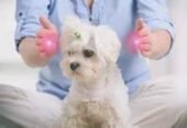 Masaje relajante/ descontracturante, Reiki y Reflexología podal