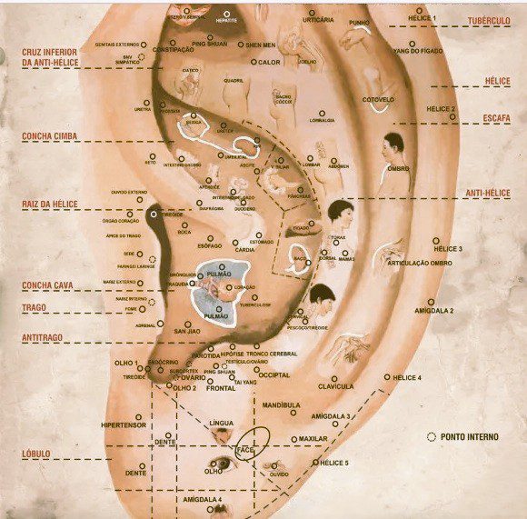 Masaje Oriental Ann Mo, Acupuntura, Reflexología