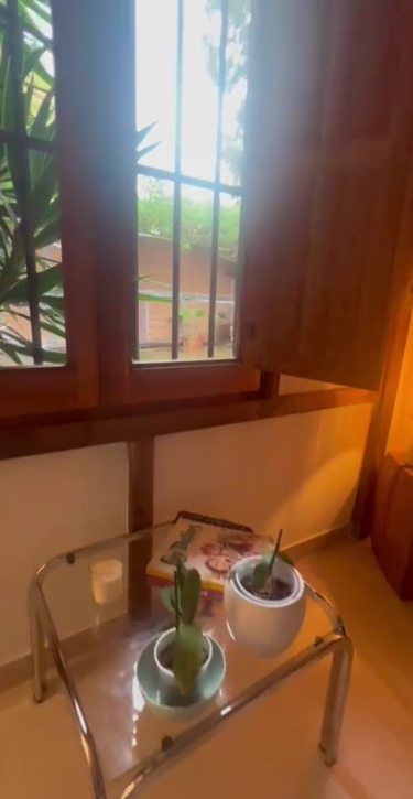 Limpieza facial y masajes terapéuticos